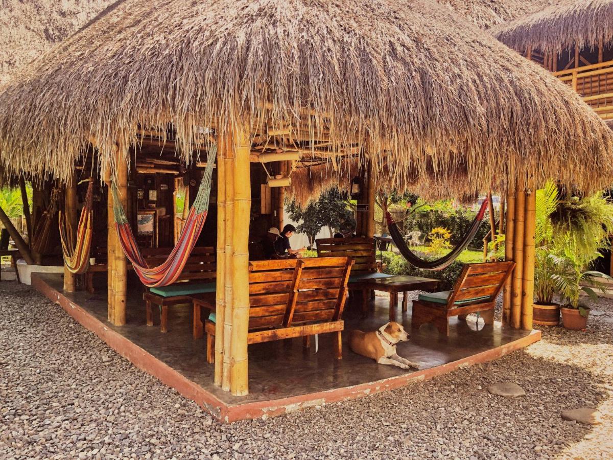 Coco Saenkala Hostel Palomino Extérieur photo